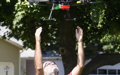 Drone Flights May Detect Longmont Emerald Ash Borer Infestation